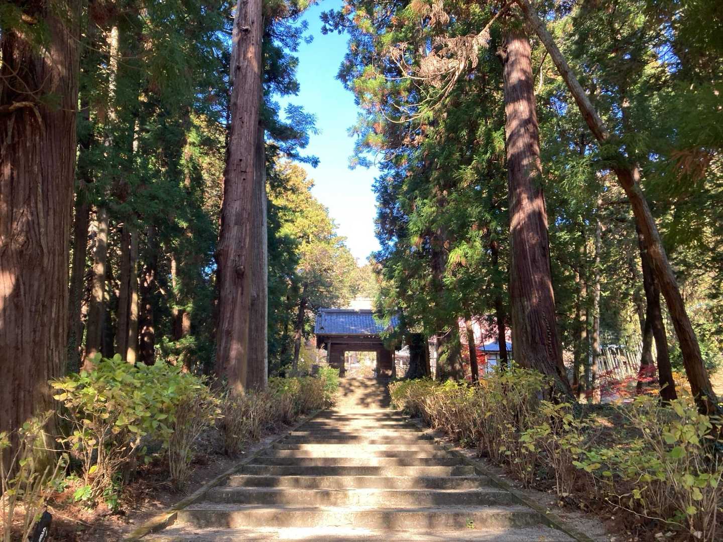 大中寺駐車場より出発