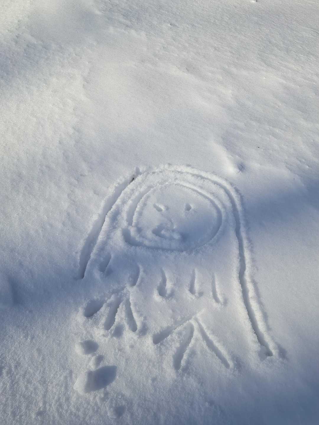しばらく探してみましたが🦉見当たらず…
お絵描きにて(笑)