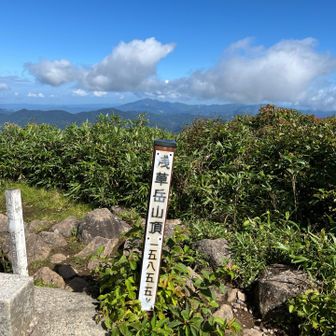 山頂は✨
