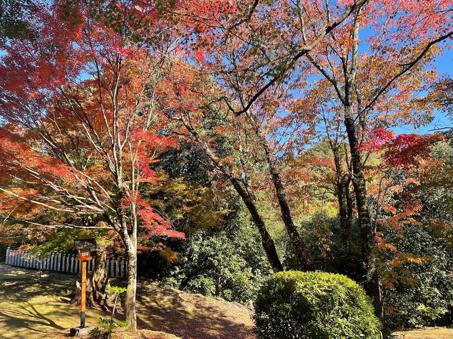 寂光院-継鹿尾山 往復コースの写真