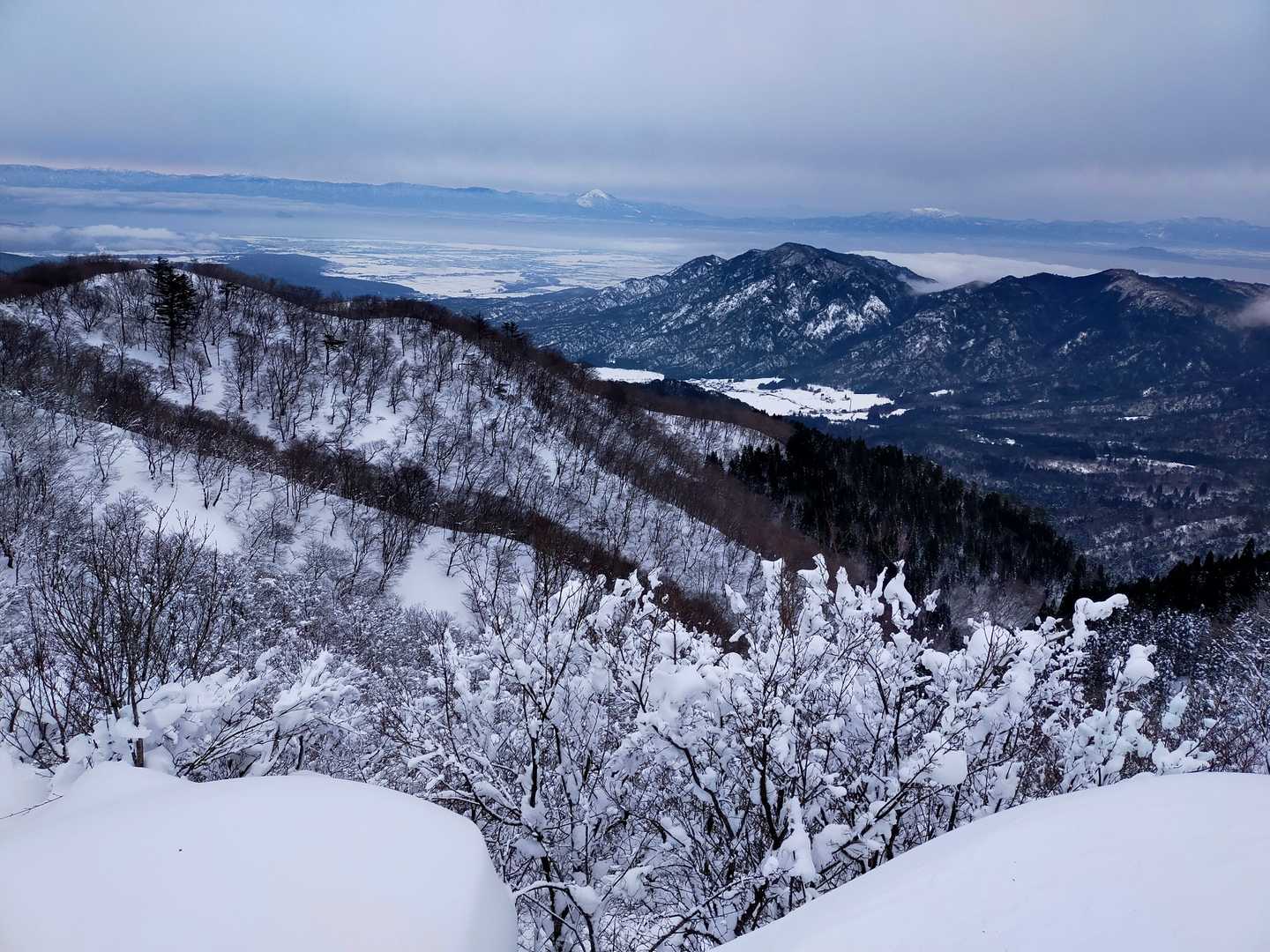 これだけ雪あればスノーシューの下山は楽しいですね😎
あっとゆう間です（笑）