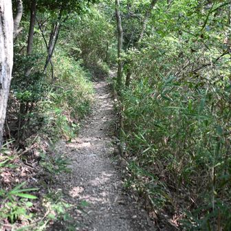 下山、中環、いきます