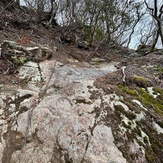 登りやったら楽しんで登れただろうけど。。。慎重に〜💦