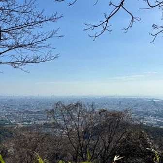 参拝後に登山開始。暖かいうえに車に残しておけない荷物も持参なので汗が流れます