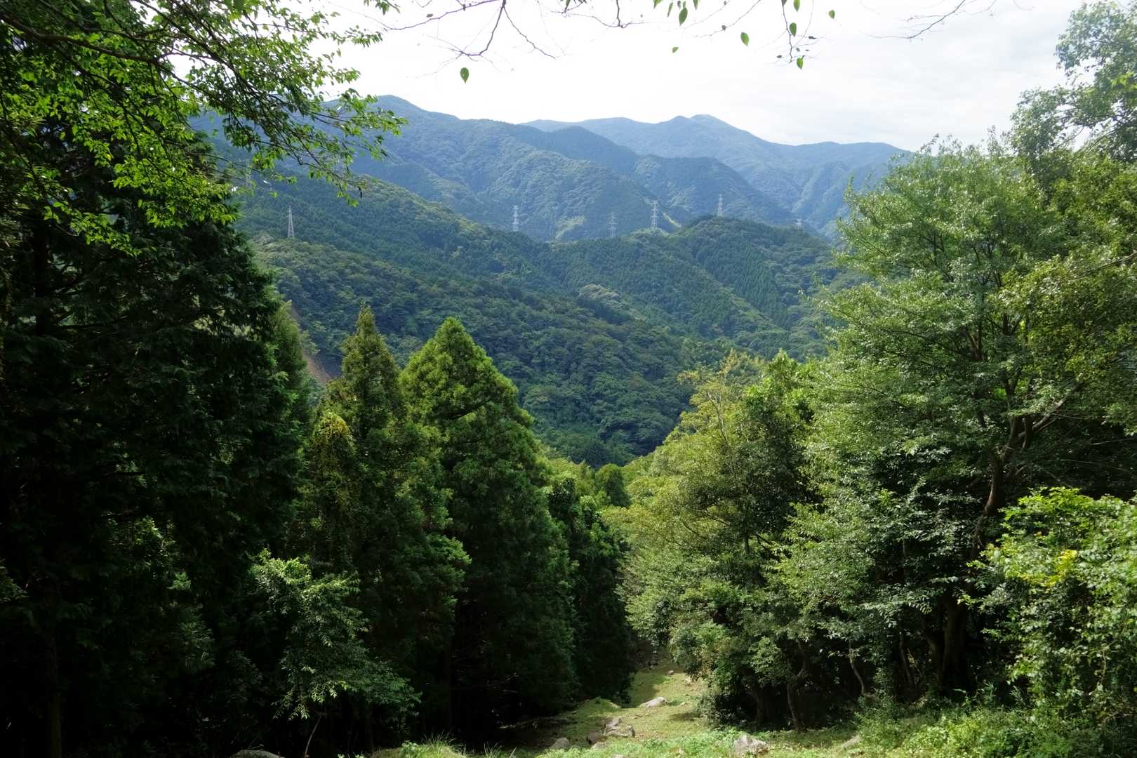 三俣の南峰直登なんかもそうですがすぐに高度感出てくるのが急登のいいところ