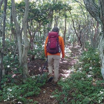 西峰頂上まで遠く感じる