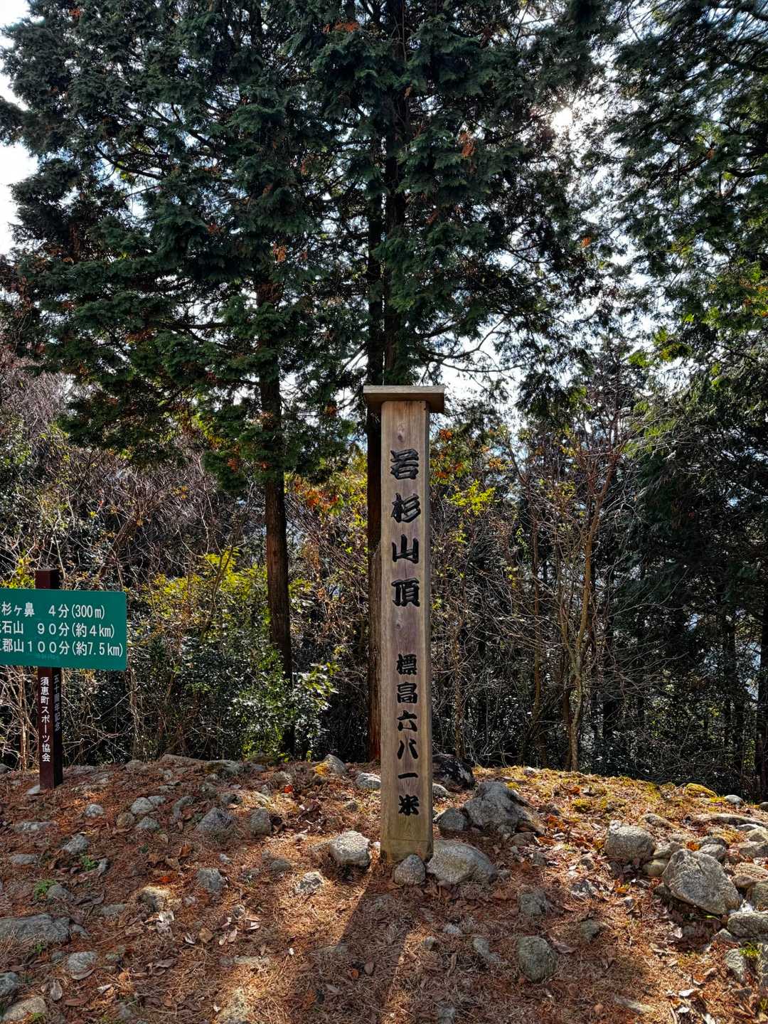 若杉山　山頂　とうちゃーく(´∀｀)