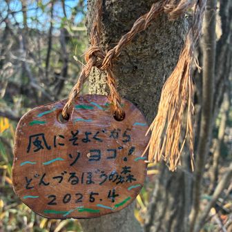 看板が可愛い🩷