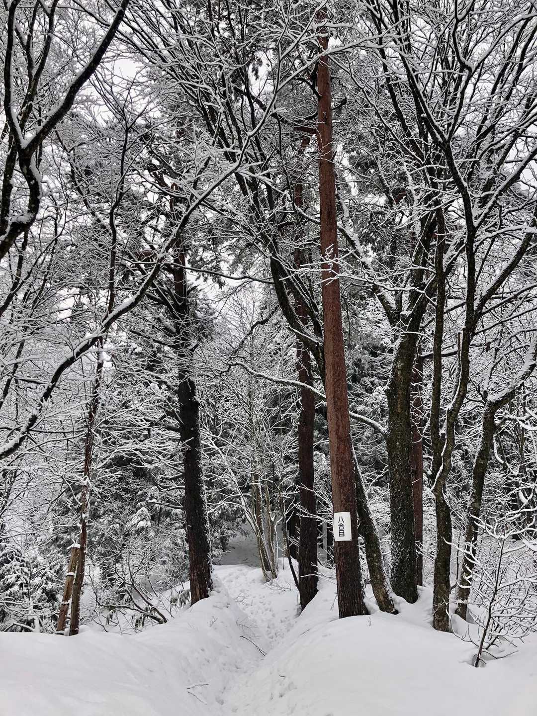 八合目通過👣ここまで登るとしっかり雪積もってます⛄