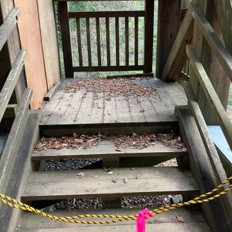 お次は展望台階段の階段掃除🧹

10/28〜立ち入り禁止🚧となり上がれませんが色々思い出があり愛着があります 🫠