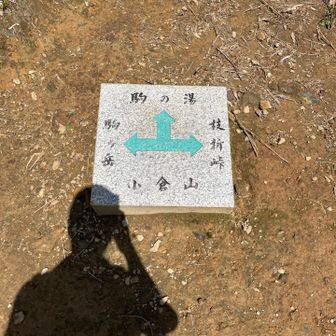 枝折峠以外にもルートがあるんですね