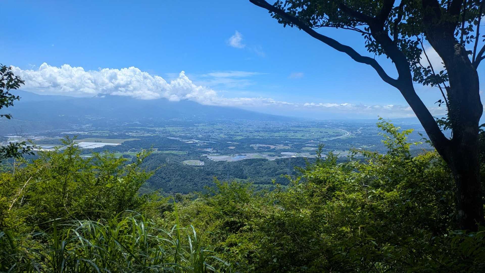 ココから見る景色も富士山は見えず