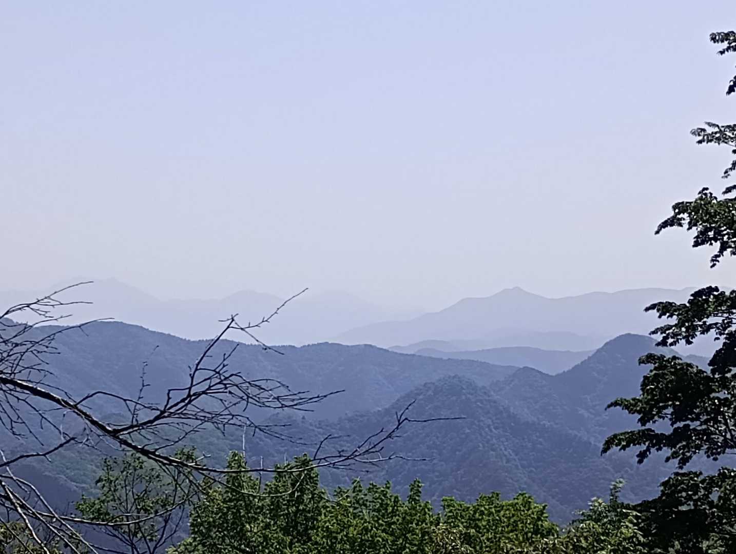 森林館-木材工芸センター-鞘口峠-見晴らし小屋-三頭山-三 縦走コースの写真