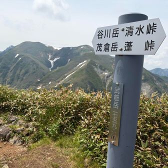 ここまでは、うかれた気持ちで順調に来たけど、、、
ココからは登山モードね〜
