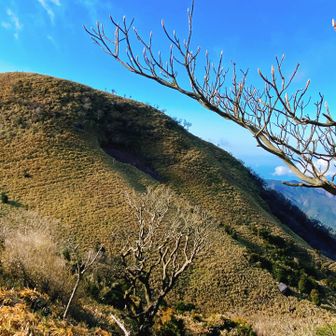 大きな窪みが巨人の足あとに見えた🐾