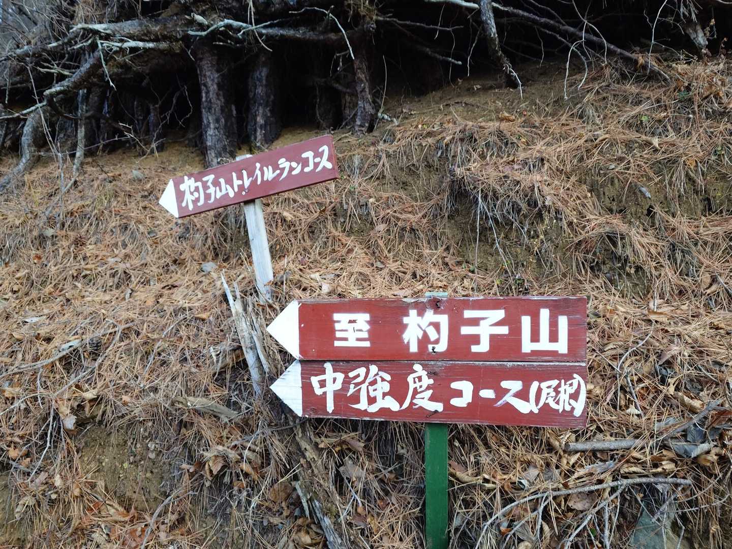 中強度コースへ