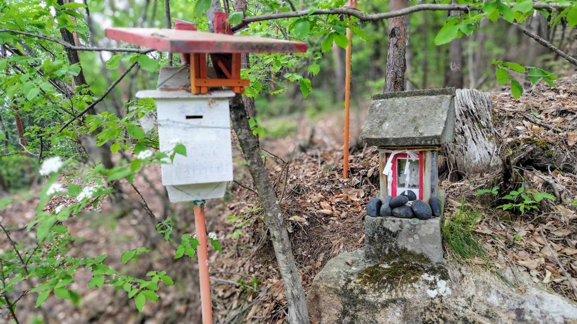 三神様の祠🙏
綺麗に整備された道を進んだら🈁に出た😅