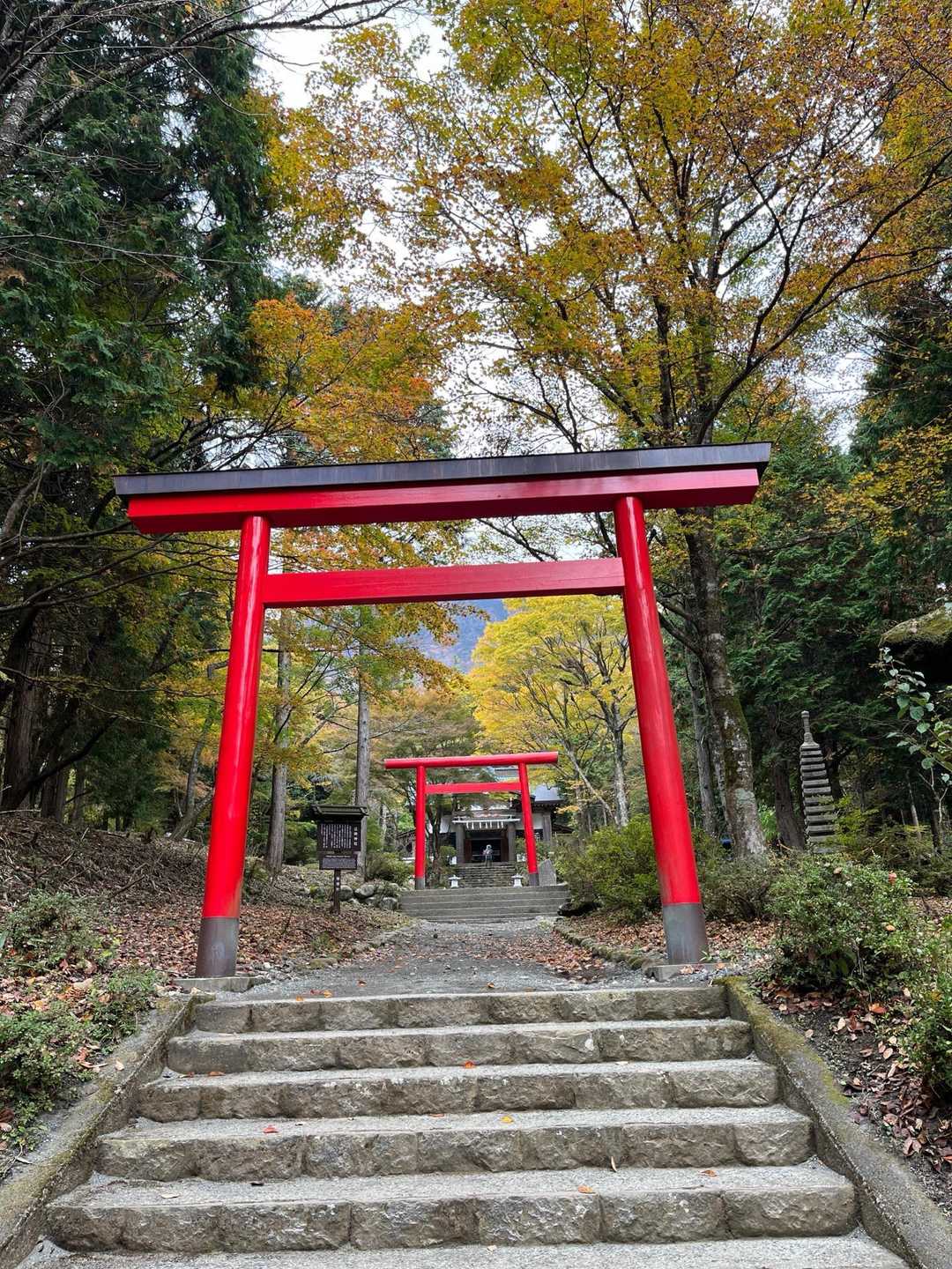 公時神社登山口-金時山-金時山登山口-金時登山口バス停 縦走コースの写真