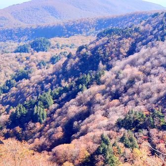 天気良すぎるよ
輝いていますよ