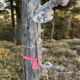 ピークハント①