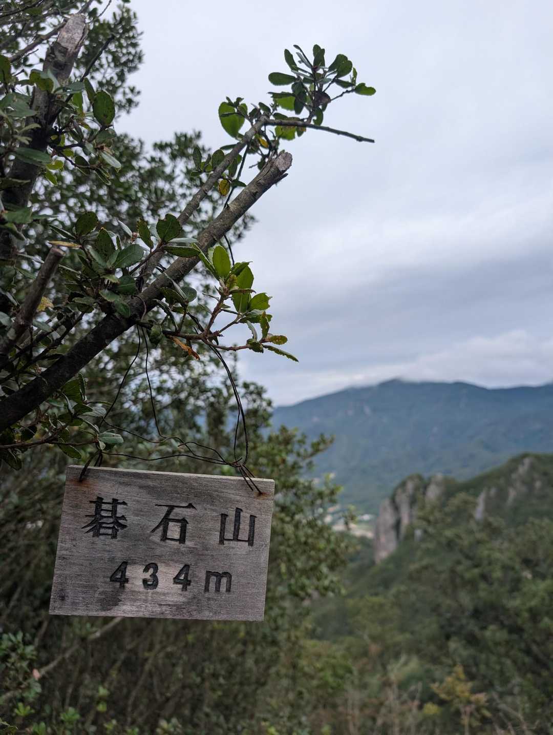 小さい標識、ひっそりと😆