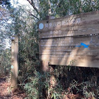 ７座目　大洞山
セブンサミッツ最高峰536mで
コンプリート！！
だけどハートはまだ下半分…