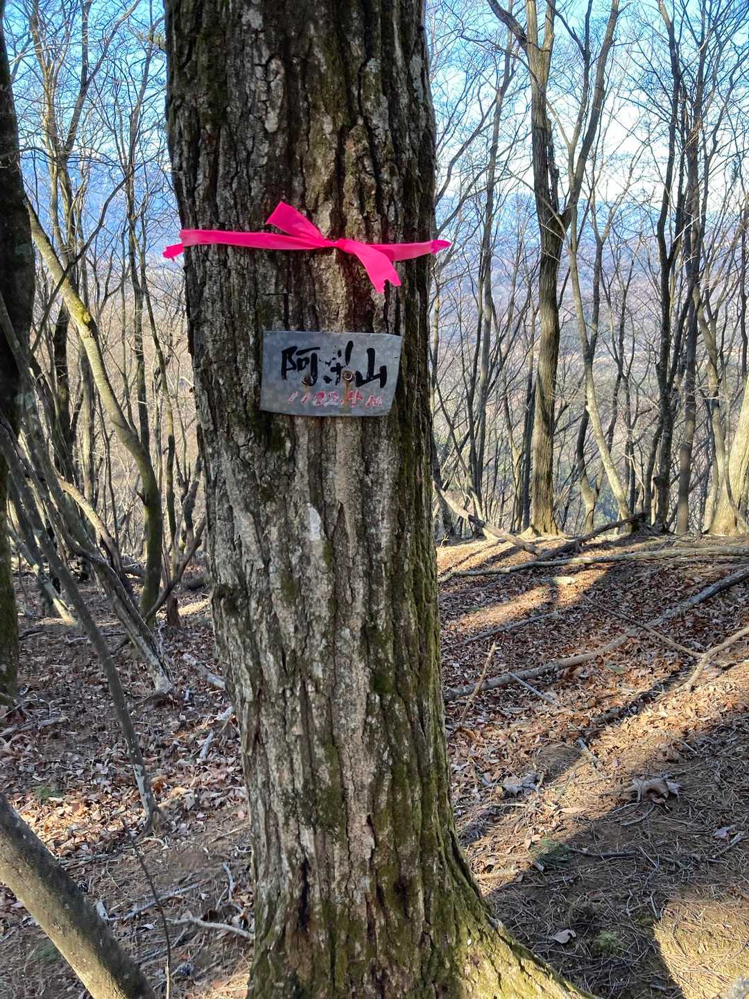 脚気石稲荷神社-阿梨山-見越山-帯那山 周回コースの写真