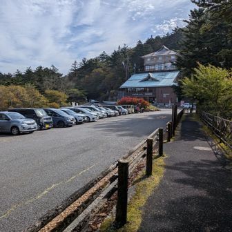 車、山盛りおる...