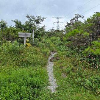 駐車場から登山道へ。