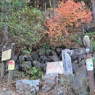 最初に間違えた登山口🚶
