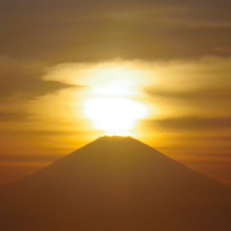 さく🌻（旧そう）