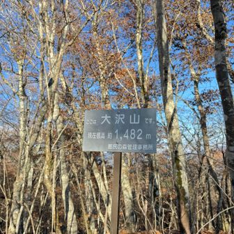 大沢山（おおさわやま、1,482m）