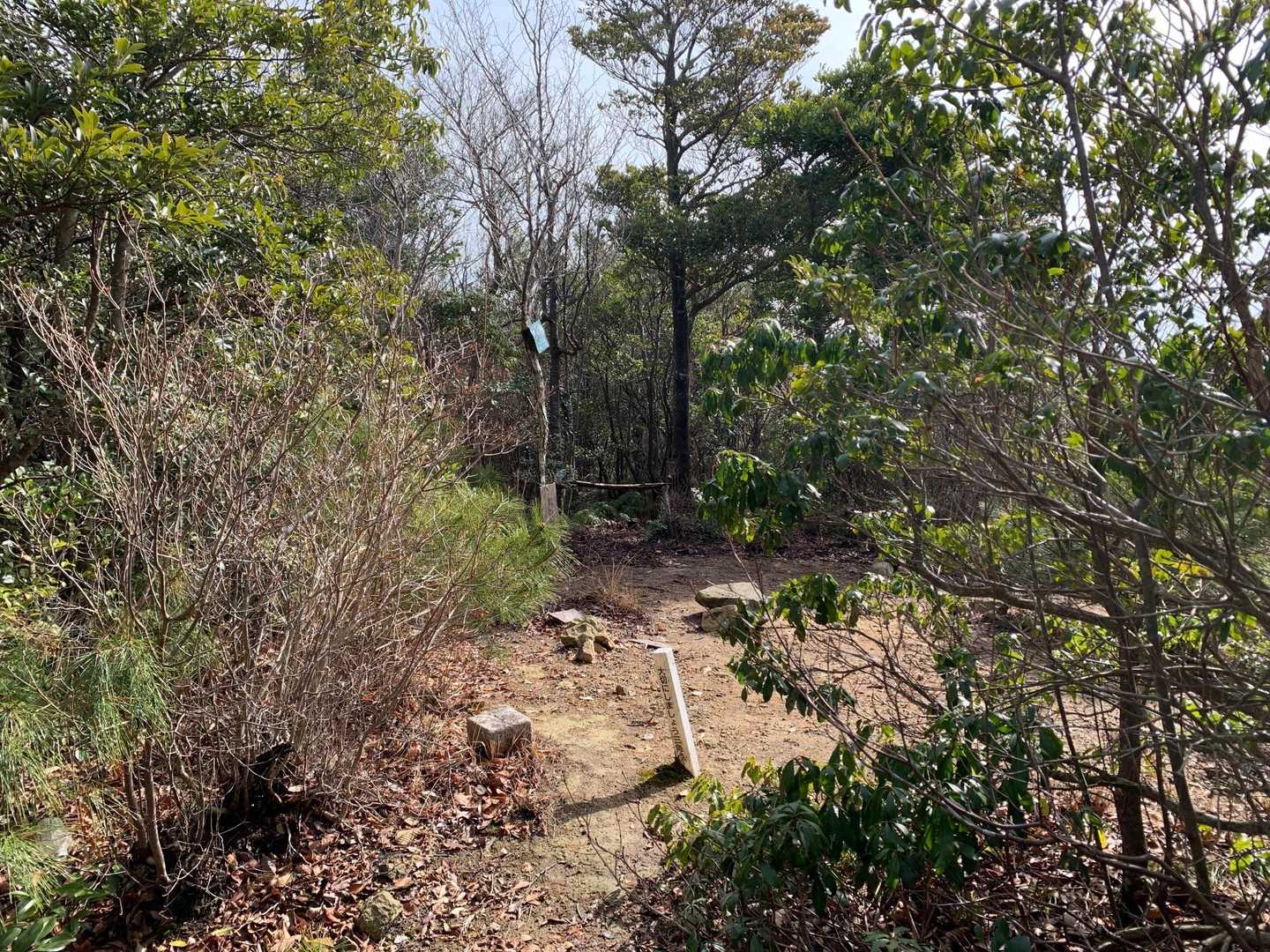 黒河内山頂上到着