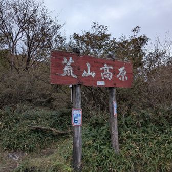 荒山高原、到着！真っ白でーす😶‍🌫️