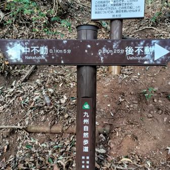 時間もないし、山歩きの準備はしてなかったので中不動だけ