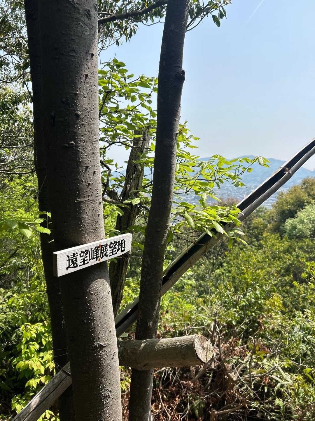 水晶山 往復コースの写真