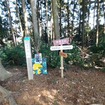 かまど山。。。途中クマの糞らしきが😅。違うのかな。