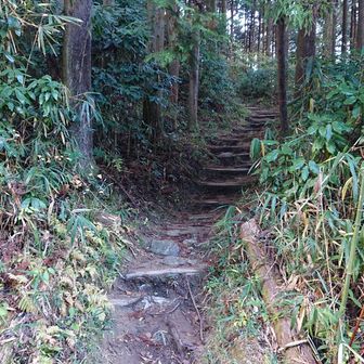 大日岳から
青崩を使った高速ルートは快適でしたヨ 😻
無事に金剛山地を楽しめた事に感謝します！

🐸 次の日は雨模様…