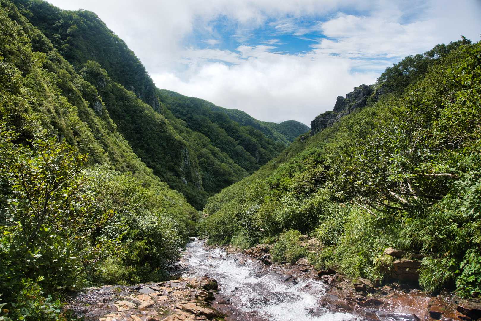 今年の夏もあっという間。
終わりが近づいてるのを実感します🍃