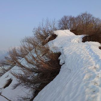 大城まではあと少し
