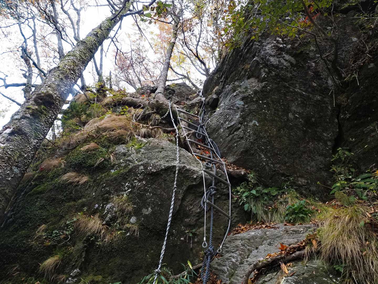 要所要所にロープあり