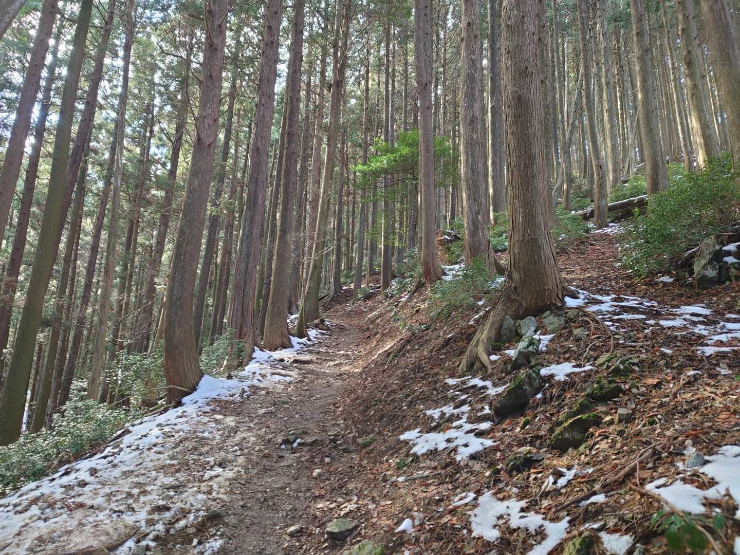 この辺から、雪が残っています。