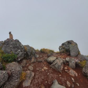 石尊峰　山頂
2810m
標柱は無し