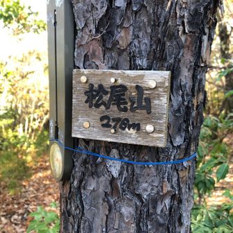 松尾山頂上です。