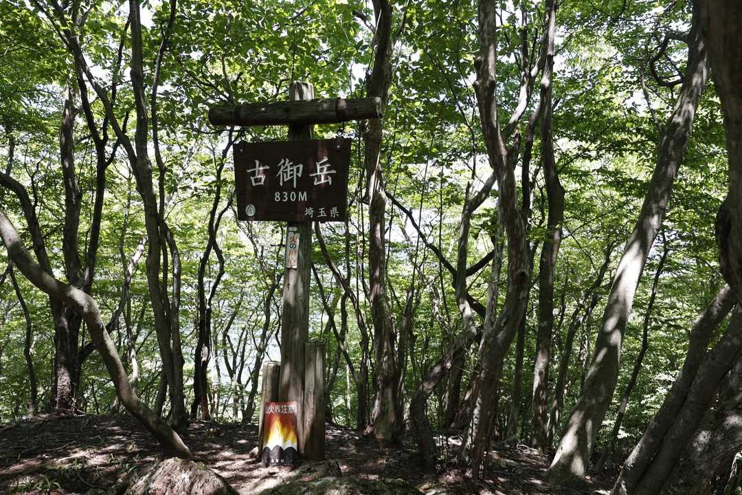 伊豆ヶ岳・高畑山・子ノ山（飯能アルプス3座）縦走 の写真 12