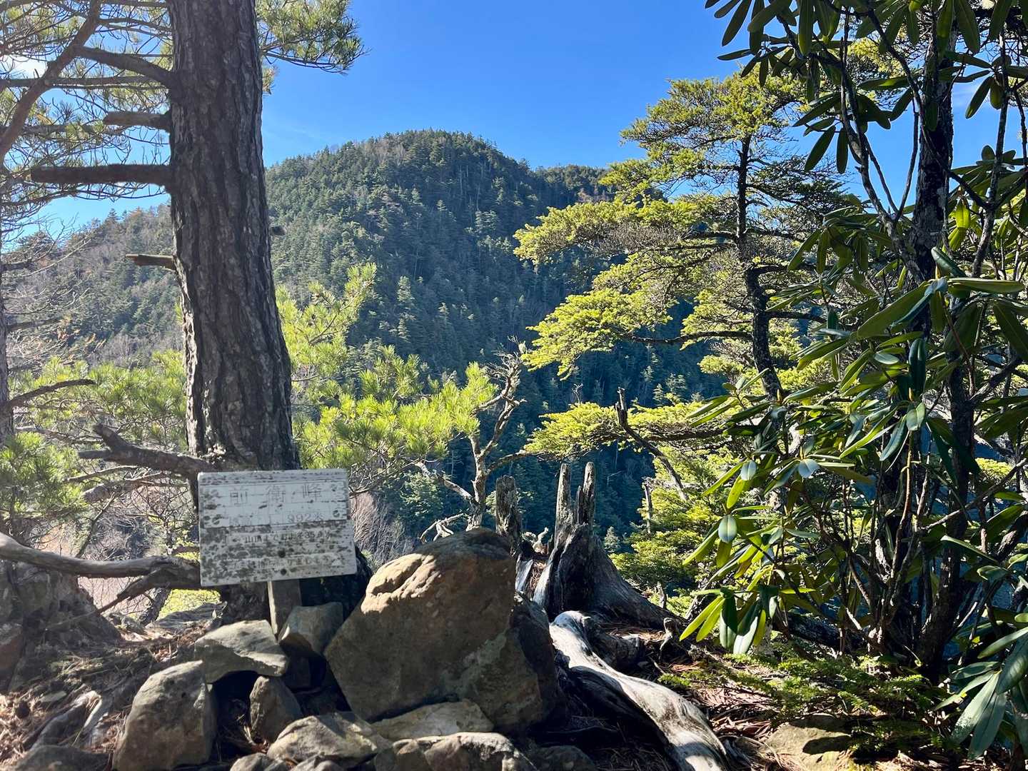 前衛峰からの御座山。
ここまで眺望はほぼないです。