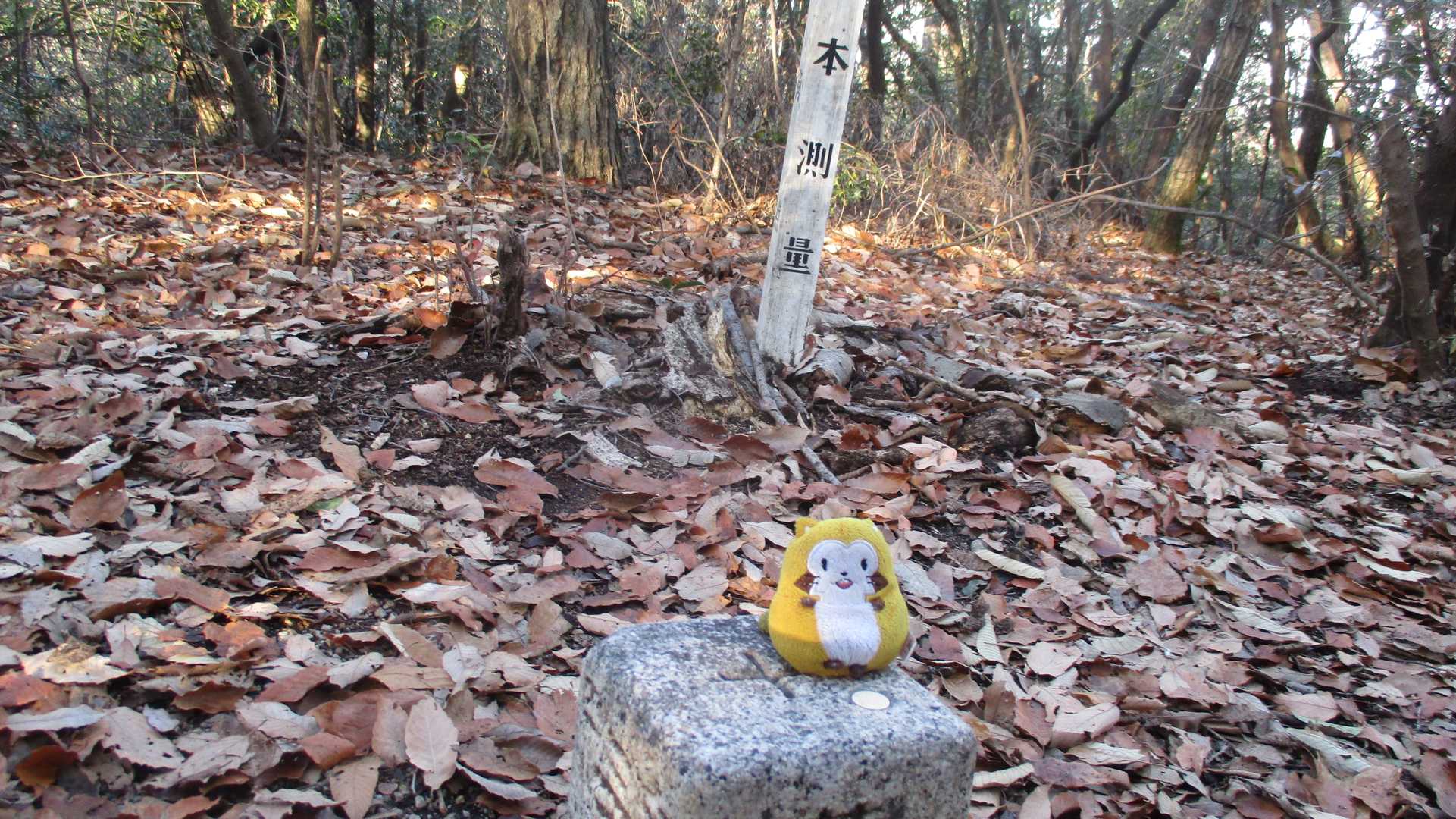 4座目の裏山です