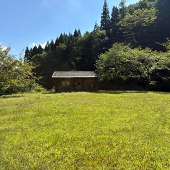 キャンプ場？