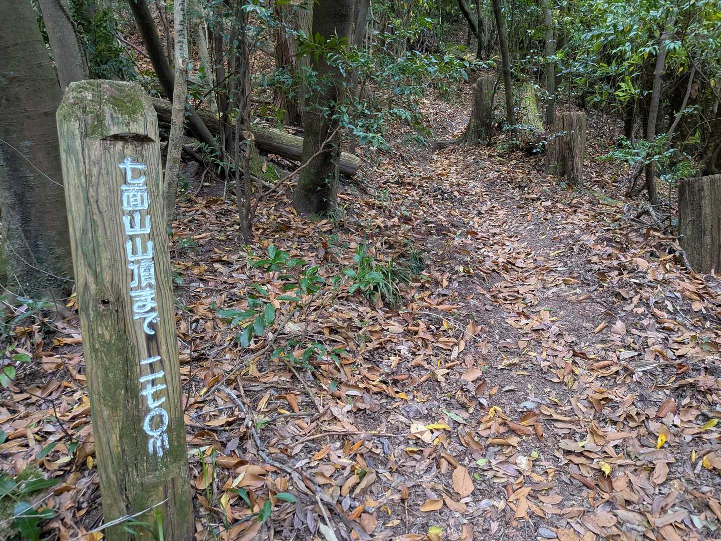 七面山 往復コースの写真