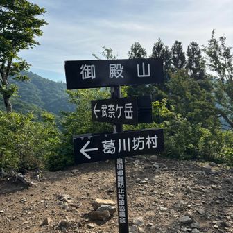 やっとひとつ目の御殿山到着😊
1時間半登り続け😅
武奈が見えます